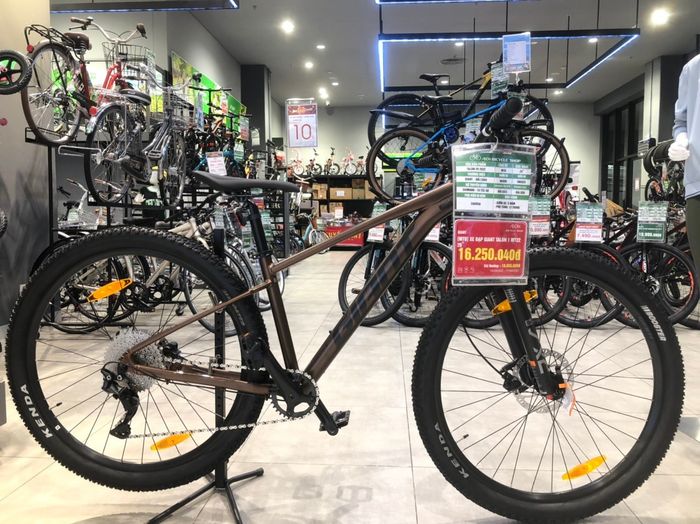 Bicycle Aeon Hải Phòng - Hình ảnh 3