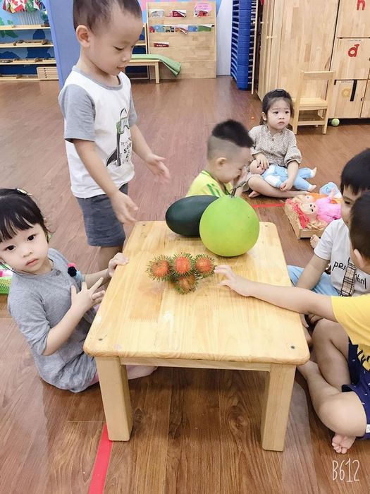 Góc nhìn nghệ thuật về Sweety Garden: kiến trúc hiện đại hài hòa với không gian xanh, phòng Montessori trang bị đầy đủ giáo cụ quốc tế, sân chơi sáng tạo - môi trường lý tưởng để trẻ phát triển toàn diện cả thể chất lẫn tinh thần.