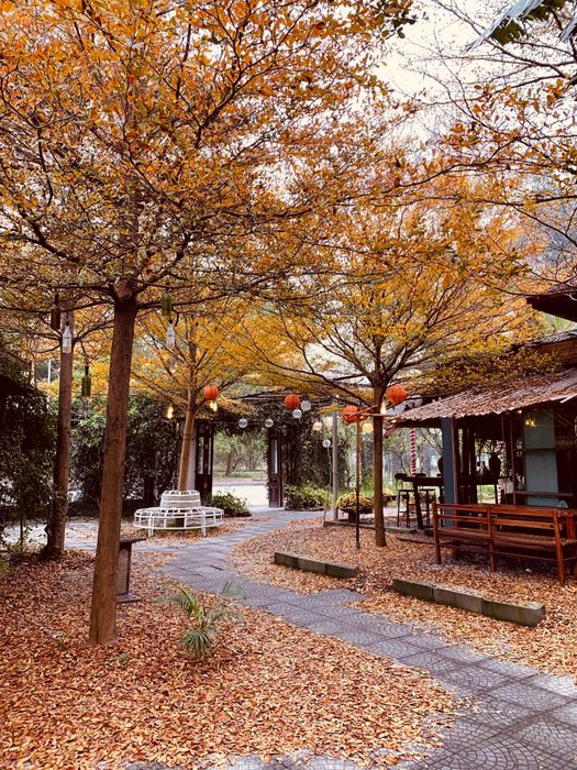 Không gian xanh mát đậm chất vintage tại OASIS