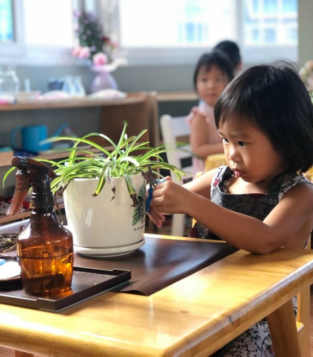 Hình ảnh hoạt động ngoại khóa tại Smiling Fingers