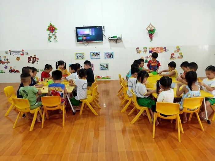Hình ảnh hoạt động vui chơi tại Trường Mầm non Hoa Hướng Dương