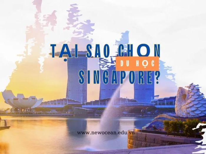 Không gian tư vấn hiện đại tại Tân Đại Dương
