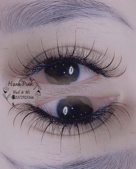 Hình ảnh minh họa kiệt tác nối mi tại HẠNH PINK NAILS & MI