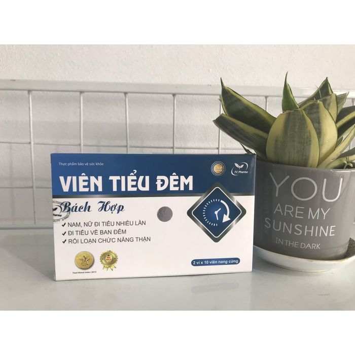 Đội ngũ dược sĩ tận tâm tại Nhà Thuốc Thiện Nhân