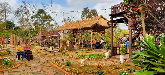 MIL Coffee & Tea - Khung cảnh thác nước hữu tình giữa vườn cà phê