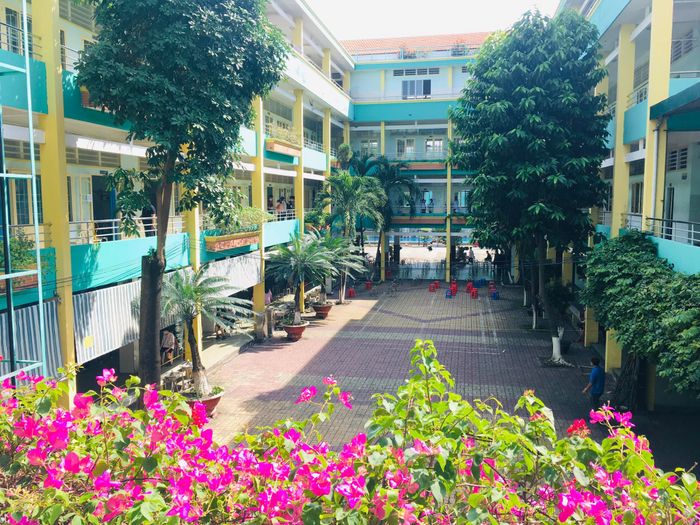 Hình ảnh khuôn viên xanh mát tại Trường Nội trú Hồng Đức