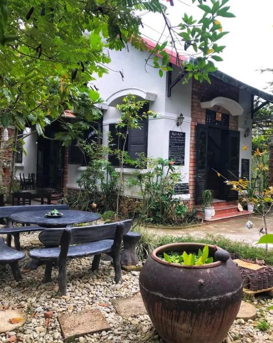 Ảnh 2: Lavin Home - Góc vườn nhỏ đầy nắng với những bông hoa giấy rực rỡ, minh chứng cho tấm lòng nhân ái và sức sống mãnh liệt.