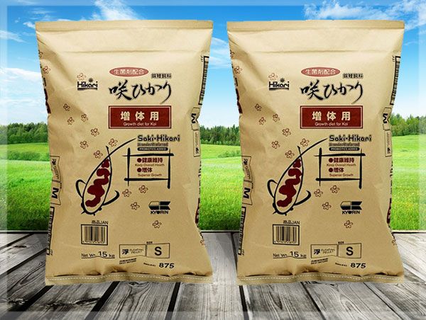 Hikari - Khoảnh khắc vàng trong bữa tiệc dinh dưỡng