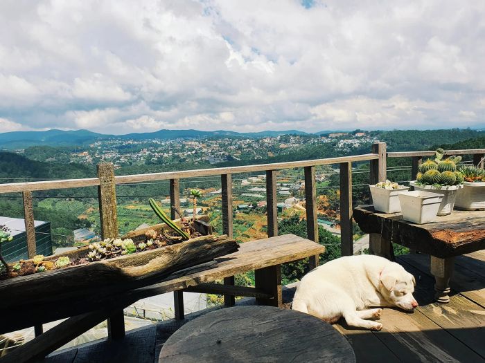 Hình ảnh Chênh Cafe - không gian gỗ ấm áp với view núi rừng
