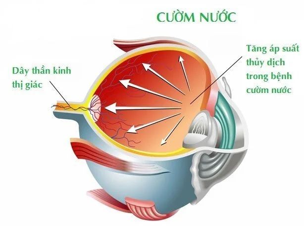 Hình ảnh cơ sở vật chất hiện đại tại Bệnh viện Mắt Sài Gòn Hà Nội