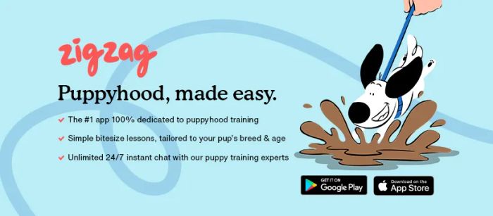 Hình ảnh minh họa ứng dụng Zigzag Puppy Training phiên bản 2