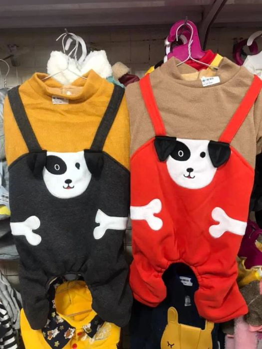 Không gian mua sắm tiện nghi và thân thiện tại Bobby Pet Shop