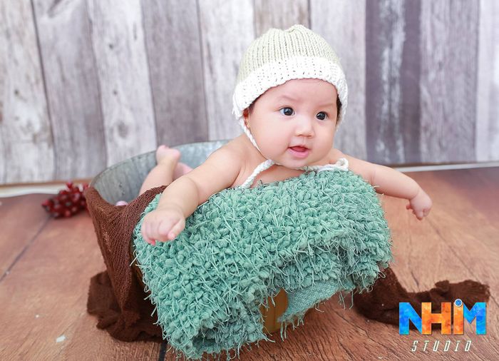 Bộ sưu tập hình ảnh Nhím Studio 2