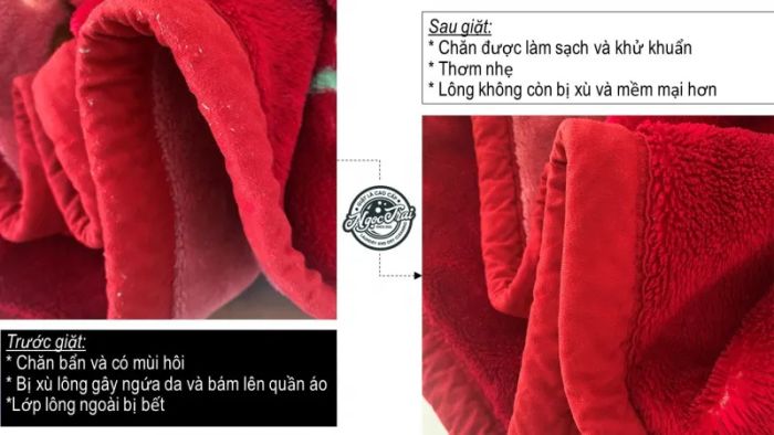 Hệ thống giặt là cao cấp Ngọc Trai - Ảnh 2