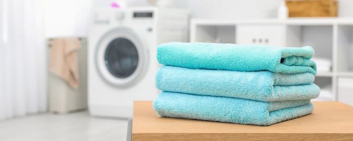 Không gian hiện đại tại Sạch 365 - Ảnh 1