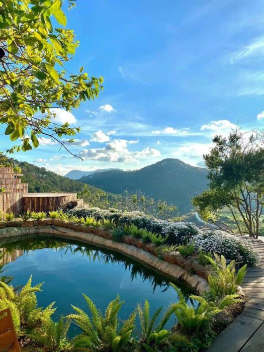 Hình ảnh Pura Vida Dalat - góc view 360° ngắm rừng thông bất tận
