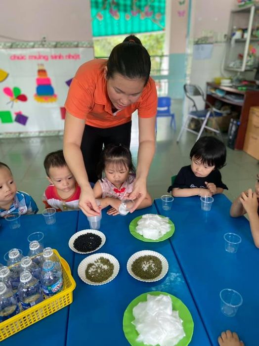 Hoạt động ngoại khóa sôi nổi tại Trường Mầm Non Anh Đào Phú Mỹ