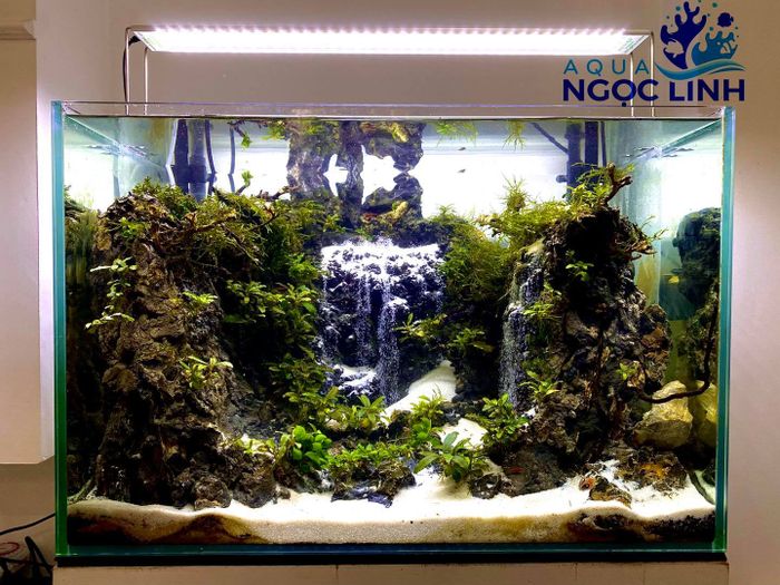 Aqua Ngọc Linh - Bể cảnh Ngọc Linh hình ảnh 2