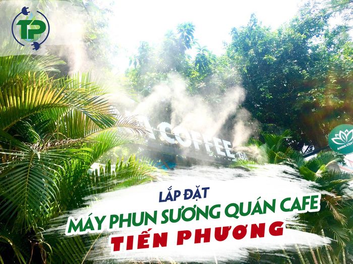 Phun Sương Tiến Phương ảnh 2