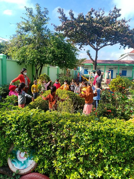 Giờ học ngoài trời đầy thú vị tại Trường Mầm non Vành Khuyên