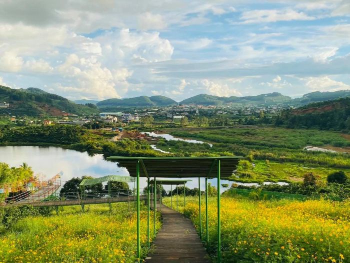 Hình ảnh Mê Linh Coffee Garden - view rừng cà phê bạt ngàn