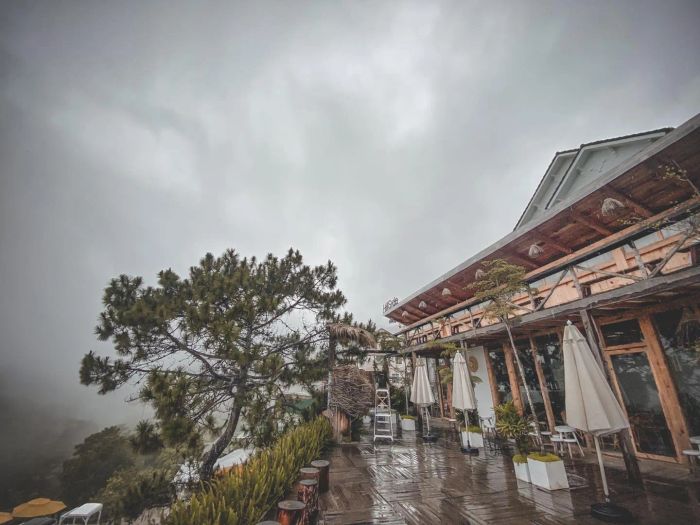 Hình ảnh The Hillside - góc tổ chim khổng lồ độc đáo