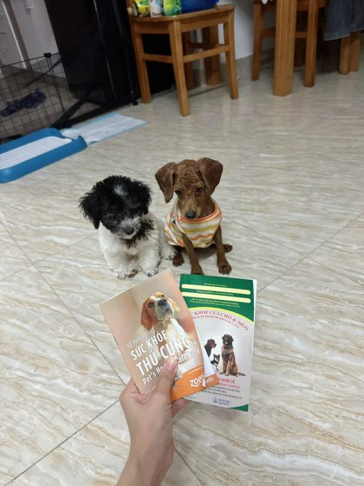 Không gian hiện đại tại Phòng khám thú y Kokan Pet Clinic