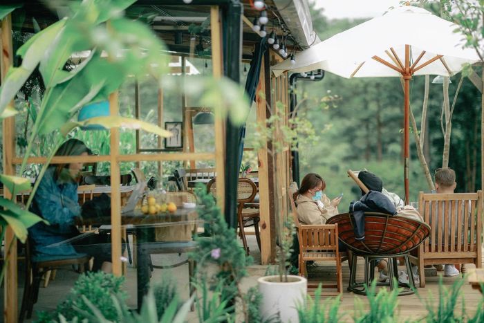 Hình ảnh In The Forest Đà Lạt - ngôi nhà gỗ giữa rừng thông