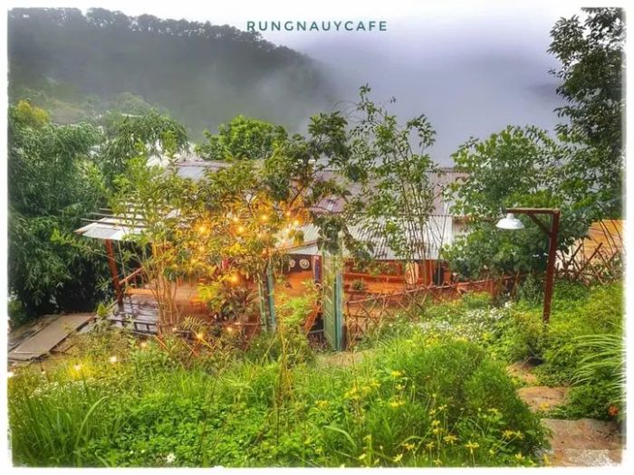 Hình ảnh RỪNG NA UY cafe - không gian thưởng trà ngắm hoàng hôn