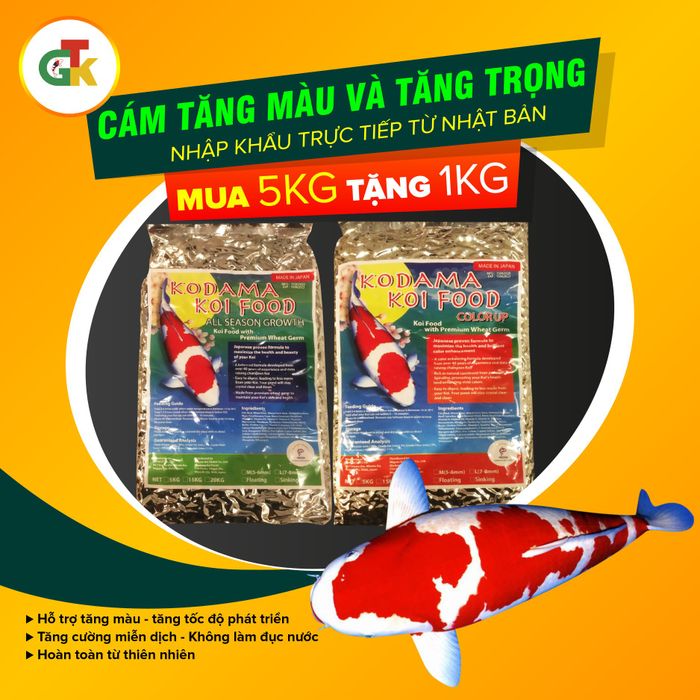 Hình ảnh sản phẩm Kodama Koi Food cao cấp