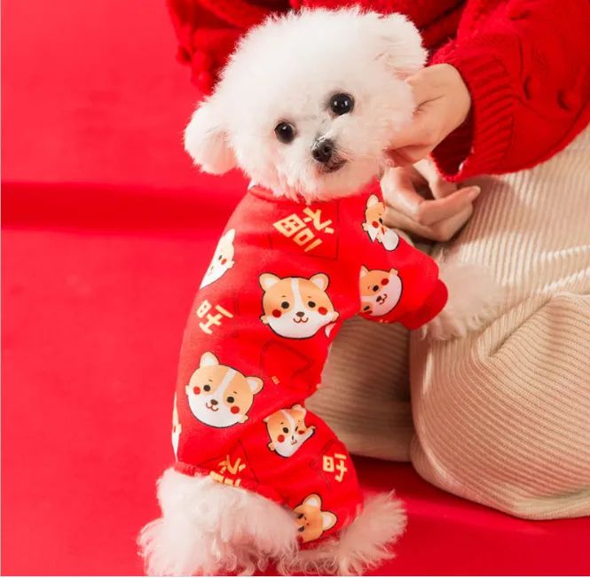 Không gian mua sắm hiện đại tại TILU PET