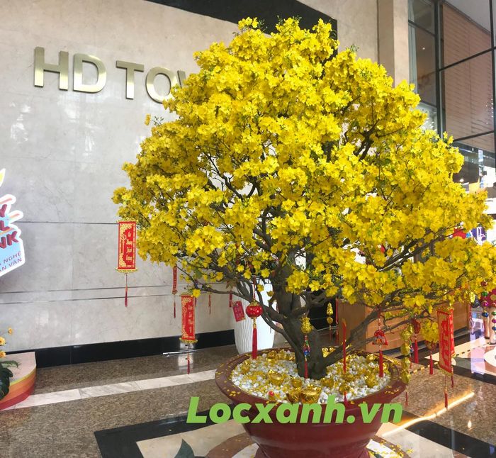 Hình ảnh Công ty Cổ phần Lộc Xanh lần 2
