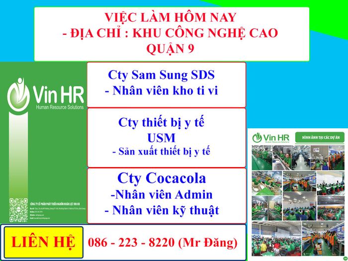 Hình ảnh đội ngũ chuyên nghiệp tại Vin HR
