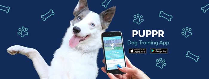 Hình ảnh minh họa ứng dụng Puppr phiên bản 1