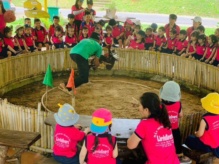 Giờ học vận động thể chất đầy năng lượng