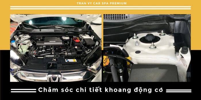 Trần Vỹ Car Spa Premium - Không gian làm việc đạt chuẩn