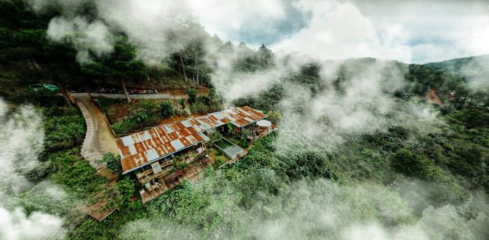 Hình ảnh In The Forest Đà Lạt - góc hiên ngắm rừng thông bất tận