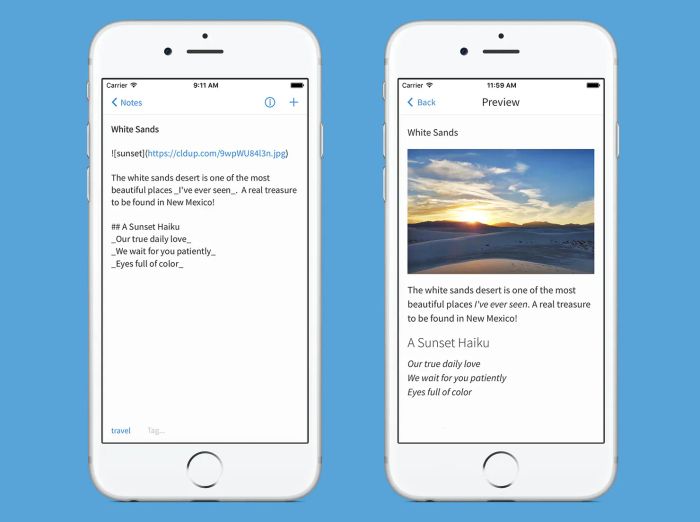Hình ảnh demo Simplenote - Tính năng checklist và tag thông minh