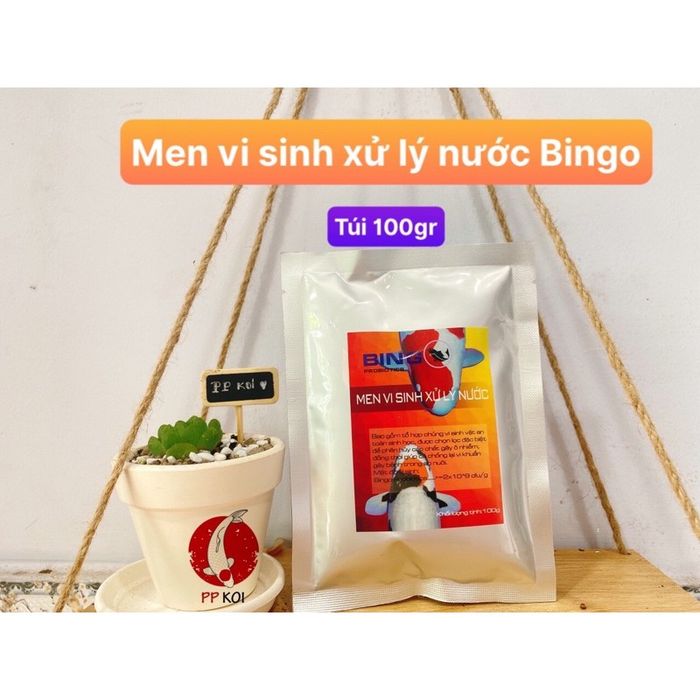 Hình ảnh thực tế Men Vi Sinh Bingo chính hãng