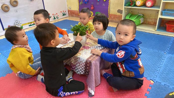 Trường Mầm Non Bình Minh - Hình ảnh 1