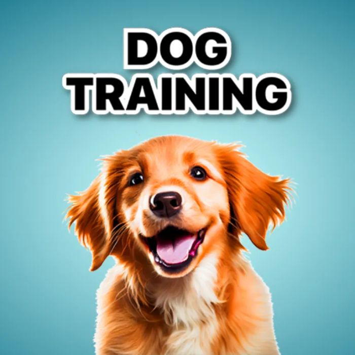 Hình ảnh minh họa ứng dụng Dogger phiên bản 1