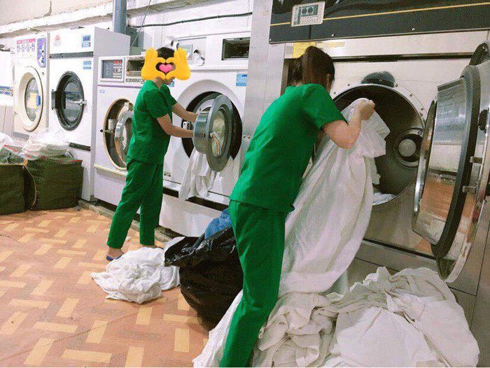Hình ảnh không gian xanh cùng hệ thống máy giặt hiện đại tại ECO Laundry