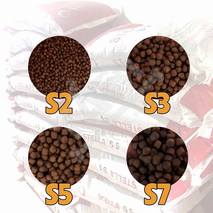 Hình ảnh minh họa Cám Cá Koi Stella phiên bản 1
