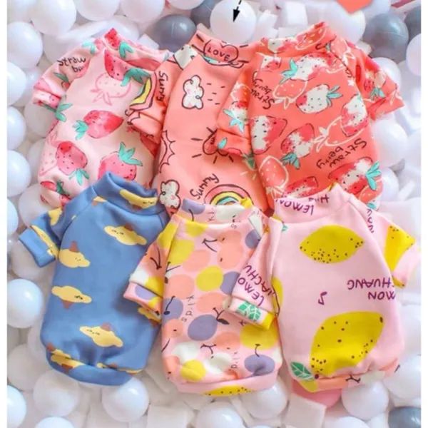Bộ sưu tập thời trang thú cưng đa dạng tại XU BÔNG Pet Shop