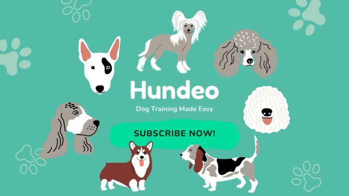 Hình ảnh minh họa ứng dụng Hundeo phiên bản 1