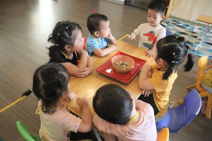 Hoạt động ngoại khóa sáng tạo ở Mầm Non Dạ Hợp