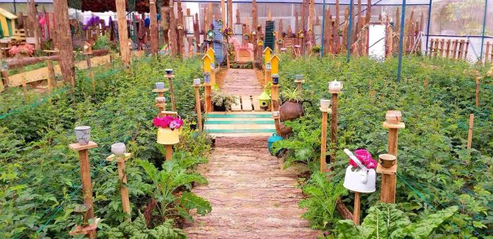 Hình ảnh Triệu Đóa Hồng - không gian vintage giữa biển hoa