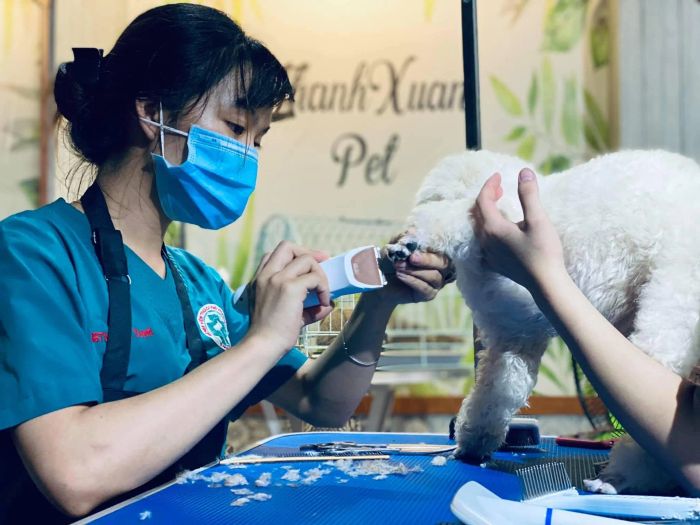Hình ảnh THANHXUANPET Nha Trang - Không gian chăm sóc thú cưng hiện đại với đầy đủ tiện nghi.