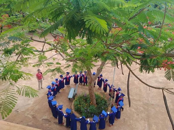 Khoảnh khắc học tập vui nhộn tại Trường Mầm Non Sao Mai