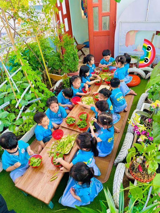 Giờ học ngoại khóa đầy niềm vui tại Dream Kindergarten